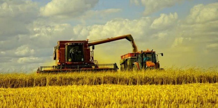 Минсельхоз РФ повысил прогноз урожая зерна на 2018 год до 106 млн тонн