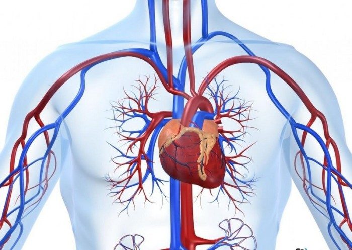 П�пять самых опасных продуктов для сердца и сосудов