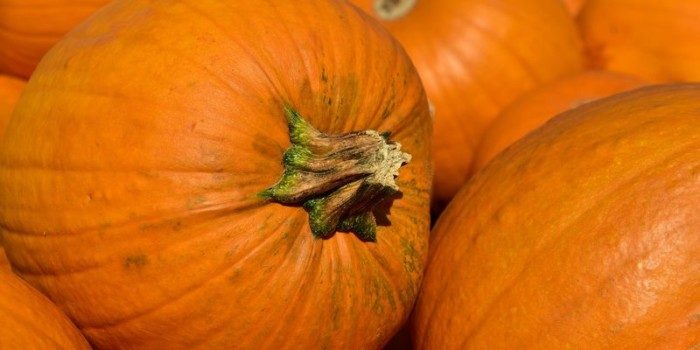Врачи рассказали, кому категорически нельзя есть тыкву