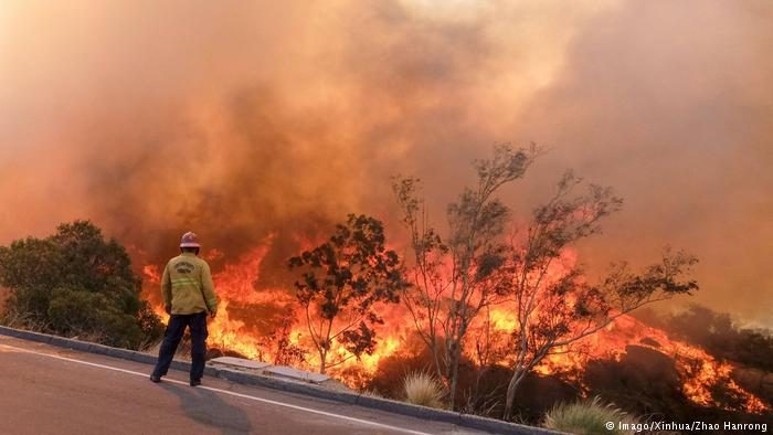 Пожары в Калифорнии: число погибших достигло 48-ми