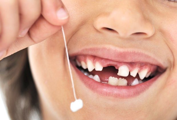 Почему нельзя выбрасывать молочные зубы детей