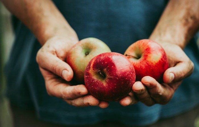 10 причин есть яблоки каждый день