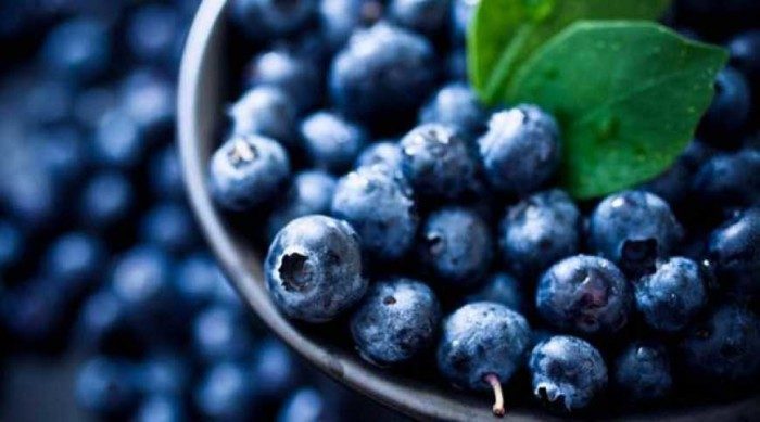 Почему не стоит объедаться черникой: ответ специалистов