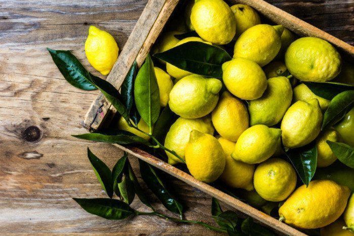 Эксперты выяснили, почему нужно чаще кушать лимон
