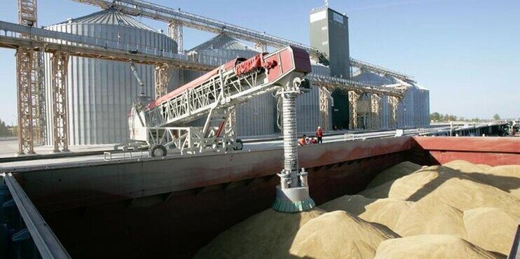 Власти России ограничат объемы вывоза зерновых из страны