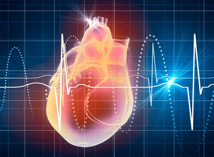 6 лучших способов снизить частоту сердечных сокращений