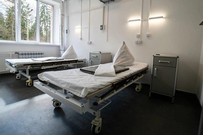 Подмосковье запросило помощь военных в борьбе с коронавирусом