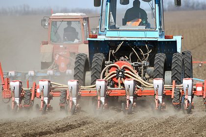 Минсельхоз отказался запретить ввоз ГМО в Россию