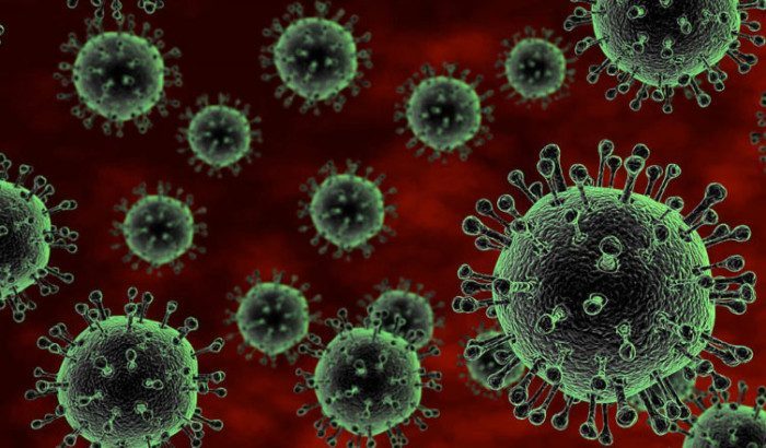 Специалисты предупреждают об ужасных последствиях попадания коронавирус в ткани мозга