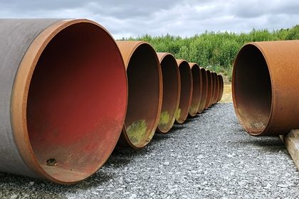 Строительству «Северного потока-2» помешала треска