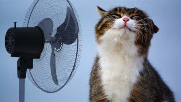 Чем вентиляторы могут быть опасны в жару
