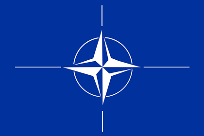 В США назвали нереальным вступление Украины в НАТО