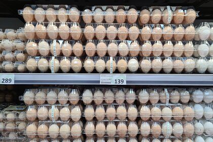 Россиян предупредили о возможном дефиците яиц