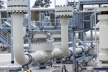В Германии прокомментировали причастность России к высоким ценам на газ в Европе