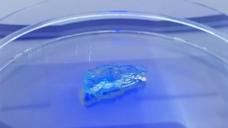 Российские учёные научились печатать аналог человеческой кожи на биобумаге