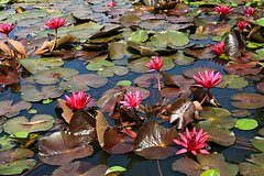 Туристы заполонили один регион России из-за уникального события