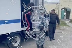 Нанявшая киллера для 12-летней дочери россиянка захотела оправдаться