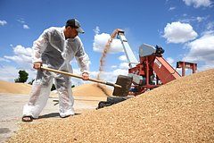 Поставки российской сельхозпродукции за рубеж заметно упали