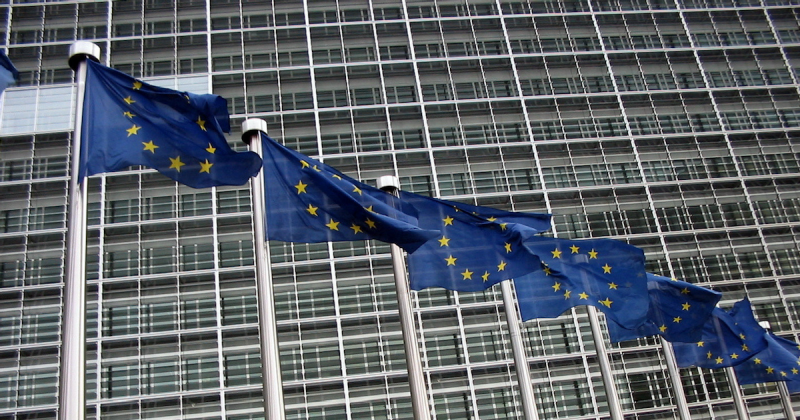 "Дорого заплатим". Евродепутат предупредил о последствиях трусливости ЕС в Сирии