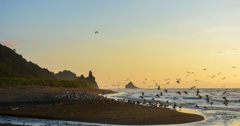 Володин резко отреагировал на заявление Японии по Курильским островам