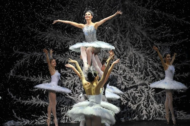 "Настоящая элита воюет с нацизмом": Миронов призвал выдать билеты на "Щелкунчик" семьям бойцов СВО