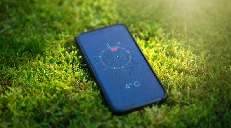 Телефон пропавшей в Тасмании бельгийки нашли спустя 2,5 года в траве