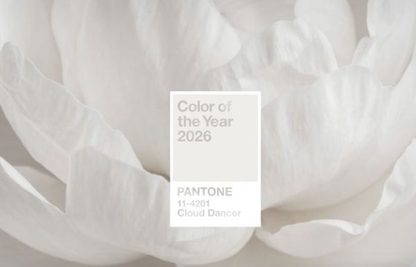 Институт цвета Pantone объявил оттенок 2026 года